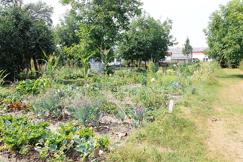 Blick auf den Hafengarten im August 2013 (c) Hafengarten